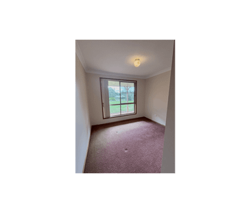 Spacious Family Living in the Heart of Highfields - Photo 3