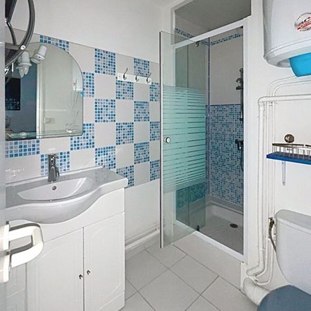 Location Appartement 1 pièce 18m² - Photo 3