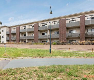 34/52 Swain Street, Gungahlin ACT 2912 - Apartment For Rent | Domain - Photo 6