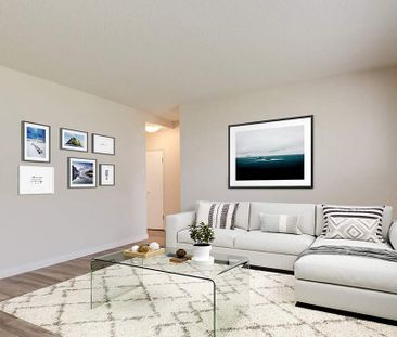 Renovated Suite - 1 Bedroom - Photo 2