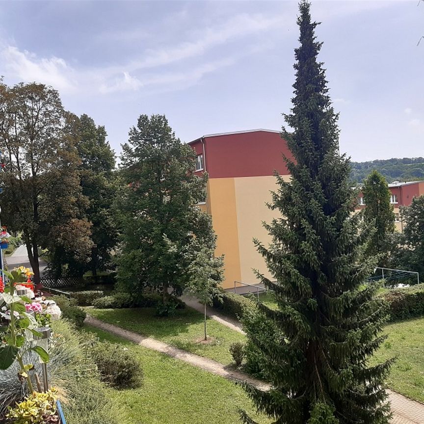 Tolle 3-Raumwohnung in ruhiger Lage - Foto 1