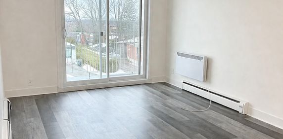 41/2 Central - Photo 2