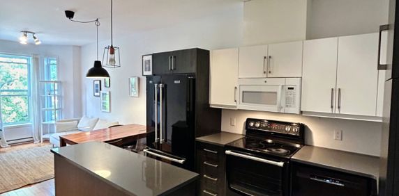 4 1/2 - Meublé - Plateau Mont Royal - Photo 2