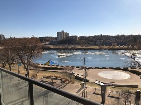 Bachelor Unit at River Landing Downtown - Photo 2