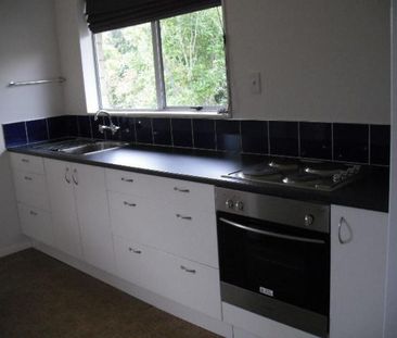Two Bedroom Unit - Photo 4