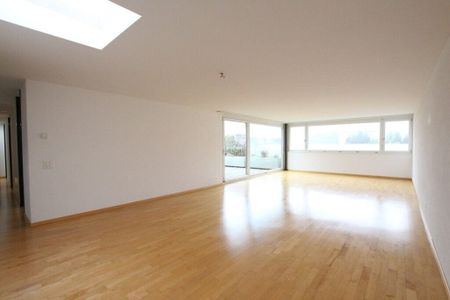 Beautiful attic apartment in the center of the city of Wil with a great view! - Photo 3