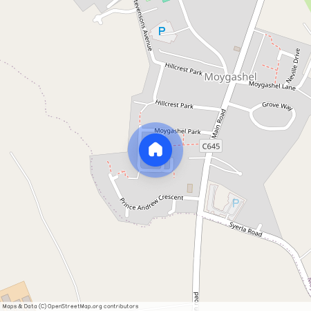 48 Moygashel Park, Dungannon BT71 7RN, Belfast