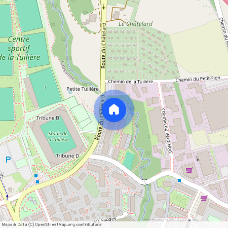 1018, Lausanne, Route Du Châtelard, 56