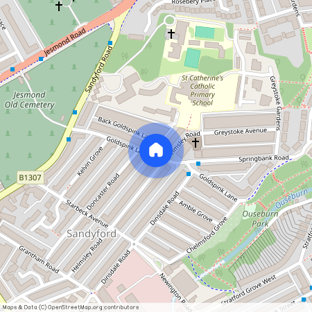 Goldspink Lane, Newcastle Upon Tyne NE2