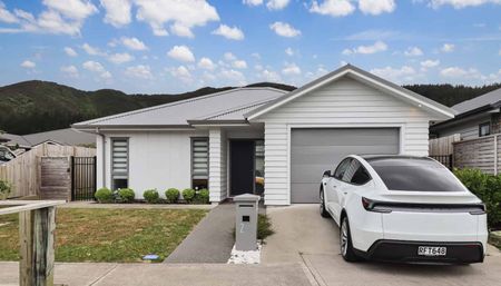 Modern Three-bedroom Home - Photo 4