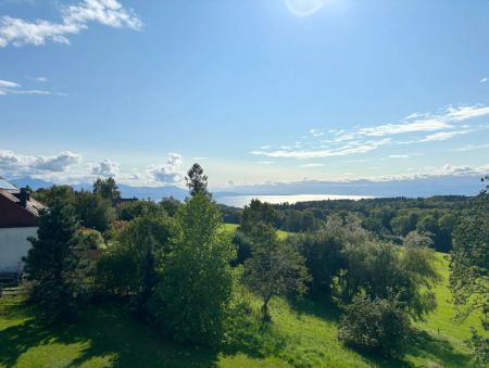 Appartement de 6,5 pièces en attique à Savigny - Photo 5