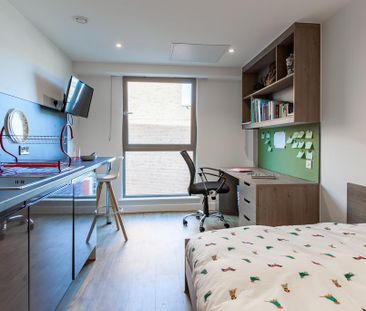 Studio to rent - Photo 3