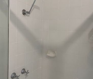 Springfield - Photo 6