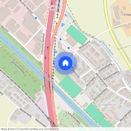 3422, Kirchberg BE, Birkenring, 23