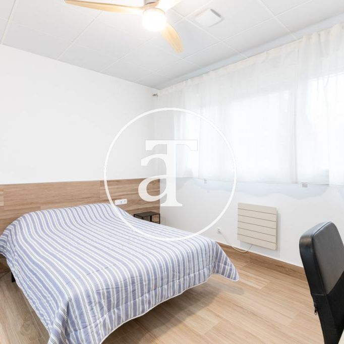 Monthly rental studio with 1 bedroom, 1 bathroom near Zoo Aquarium in Latina - Photo 1