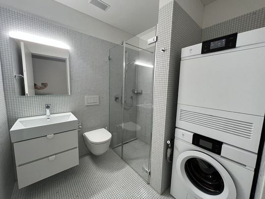 31/2-ROOM APARTMENT IN ZURICH - DISTRICT 2 WOLLISHOFEN, FURNISHED - Photo 1