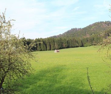 Schöne, großzügige 1,5-Zimmer-Wohnung in Hohenweiler - Foto 6