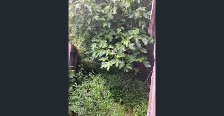 Classic terrace home with natural light and great location. - Photo 2