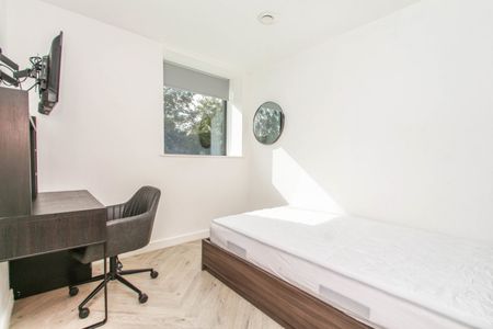 3 bed Apartment for Rent - Photo 5