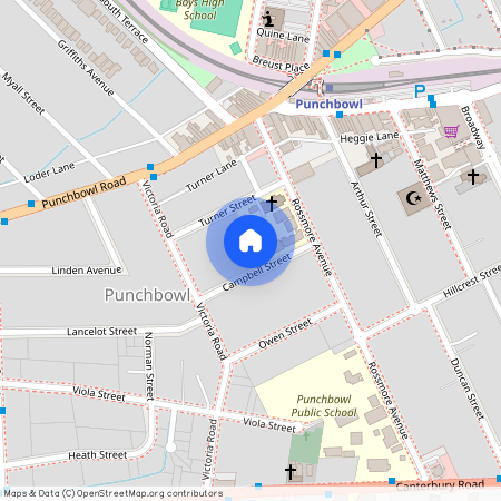 9 Campbell Street, NSW 2196, Punchbowl