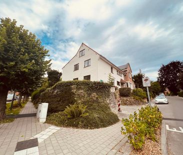 In optie - Huis te huur in Sint-Pieters-Woluwe met 5 slaapkamers - Photo 2