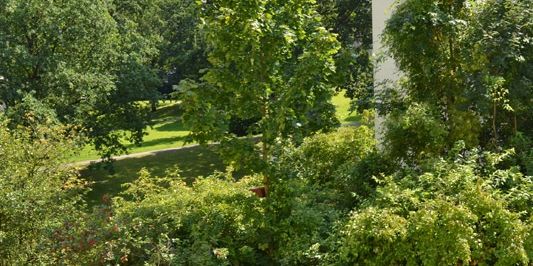 4-Zimmer-Wohnung in Detmold Hiddeser Berg - Foto 3