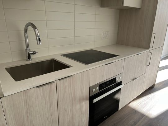 For Lease - 123 portland Street Unit# 410, Toronto, Ontario - Photo 1