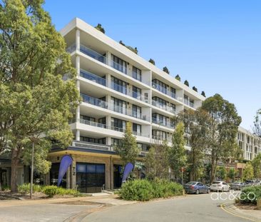 Spacious Modern Living in the Heart of Rouse Hill - Photo 6