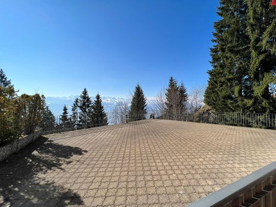 Rent a 2 rooms terrace flat in Rigi-Kaltbad - Photo 1