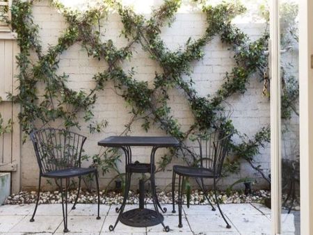 36 Nelson Street, Woollahra NSW 2025 - Terrace For Rent | Domain - Photo 2