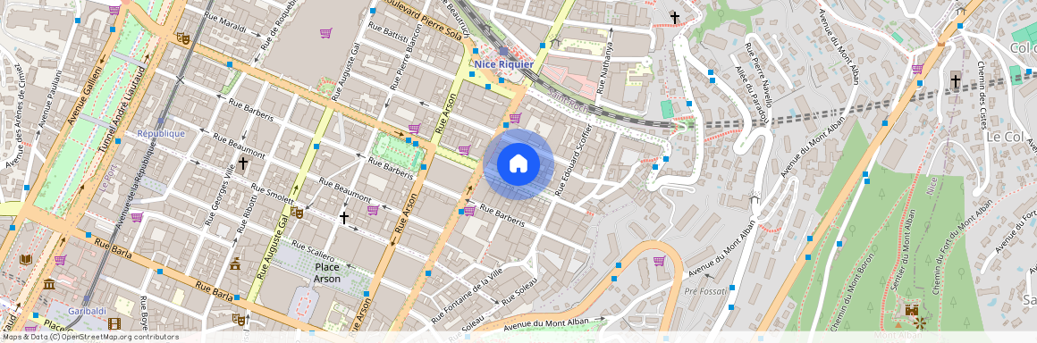 71 BD DELFINO, NICE RIQUIER