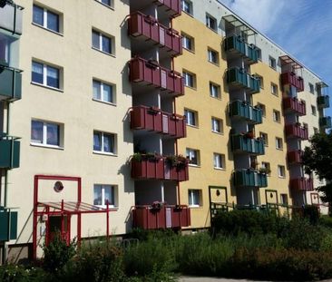 ++ Frisch renoviert ++ - Photo 1