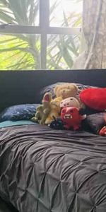 3 Bedrooms In Dinsdale - Photo 3