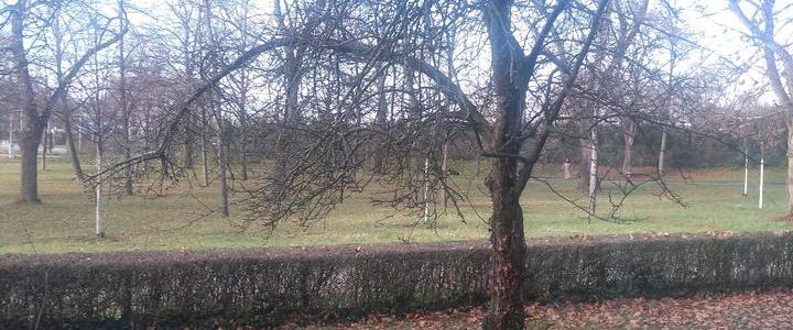 Suche 1.5./2 Zimmer Wohnung - Foto 1