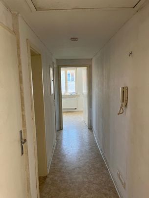 2-Zimmer-Sozialwohnung in Erbach ab dem 01.09.2024 zu vermieten! Nur mit WBS! - Foto 1