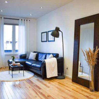 Furnished 2 Level Trinity Bellwoods - Ossington Strip - Photo 1