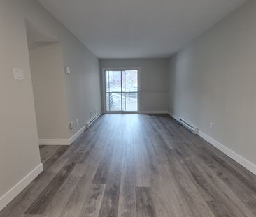 PREMIER MOIS GRATUIT! Appartement 2 Cha - Photo 3