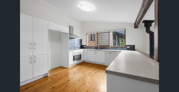 Family Oasis with pool in Camden's Heart - Photo 1