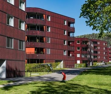 Light-flooded 3.5-room apartment on the outskirts of Schaffhausen - Photo 1