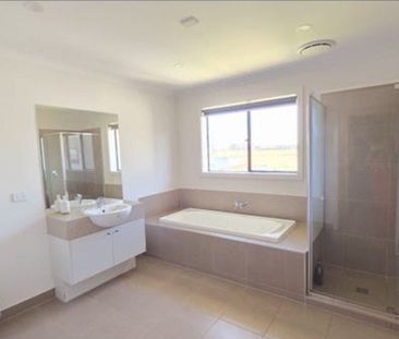 Donnybrook - Photo 1