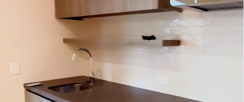 6 cowper street, Sydney - Photo 1