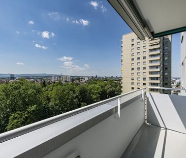 Panoramablick über Birsfelden gesucht? - Foto 1