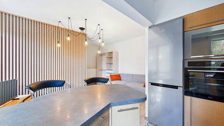 A LOUER STUDIO MEUBLE ENTIEREMENT REFAIT A NEUF ! AVEC BALCON ET ASCENSEUR - Photo 4