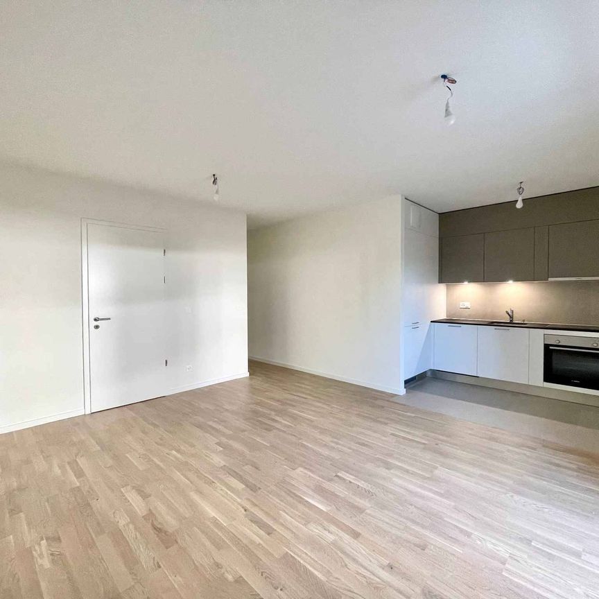 Charmant appartement de 2.5 pièces neuf avec terrasse et jardin - Photo 1