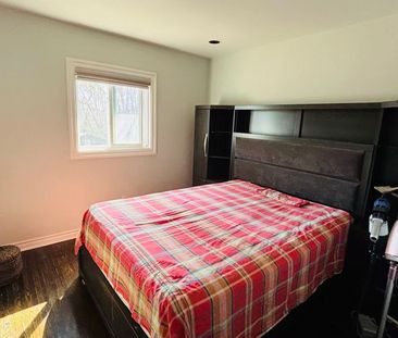 For Lease - 145 Steeles Avenue, Toronto, Ontario - Photo 3