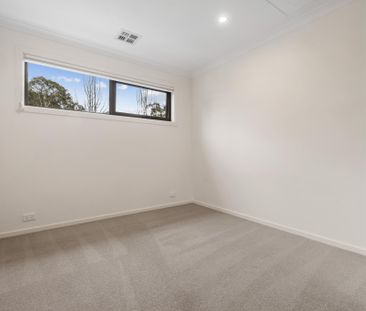 1/30 Aurora Close, Mawson ACT 2607 - House For Rent | Domain - Photo 3