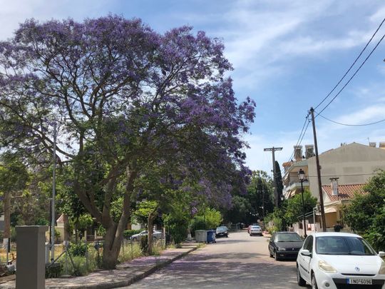 Διαμέρισμα για ενοικίαση Άγιος Γεώργιος (Πρέβεζα) - Φωτογραφία 1