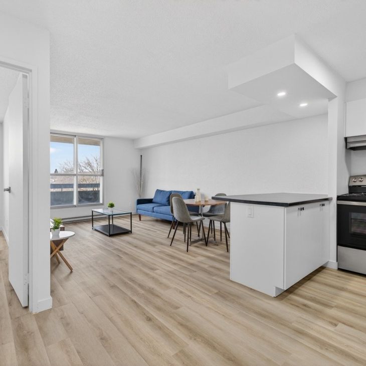 Appartement à louer - Gatineau (Hull) (Île de Hull) Appartement à louer - Gatineau (Hull) (Île de Hull) - Photo 1