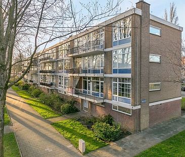 Schoonegge 0ong, 3085 Rotterdam, Nederland - Foto 1