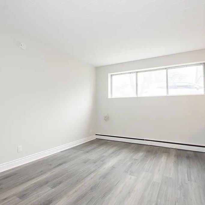 For Lease - 5 Napier Street, St. Catharines, Ontario - Photo 1